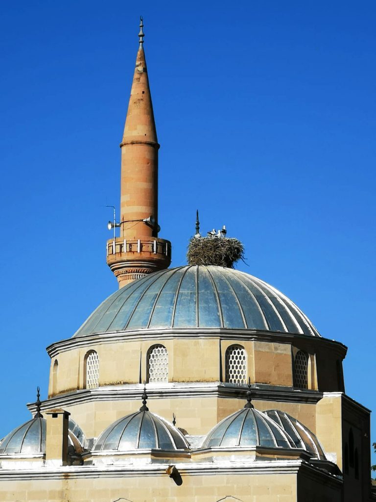 Savon d'Alep naturel