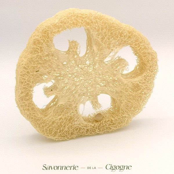 Loofah2